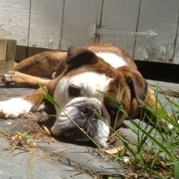 Meet your Posher, Rochelle - Picture 1 of 1